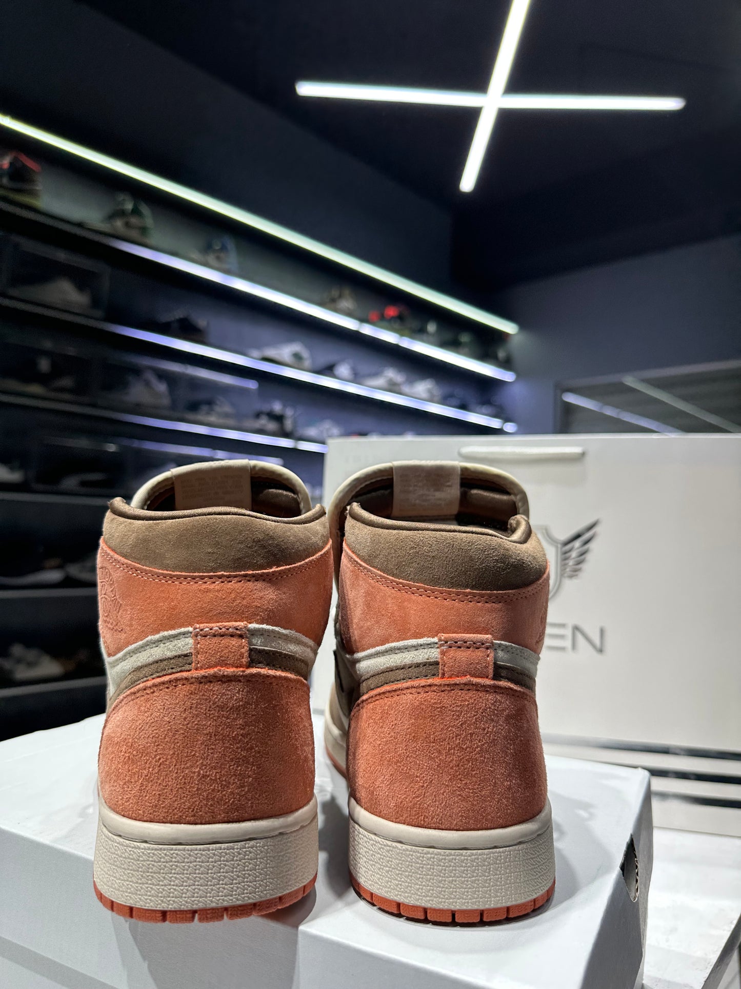 Air Jordan 1 Dusted Clay