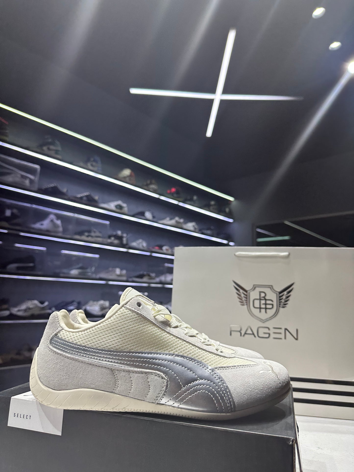 Puma Speed Cat white