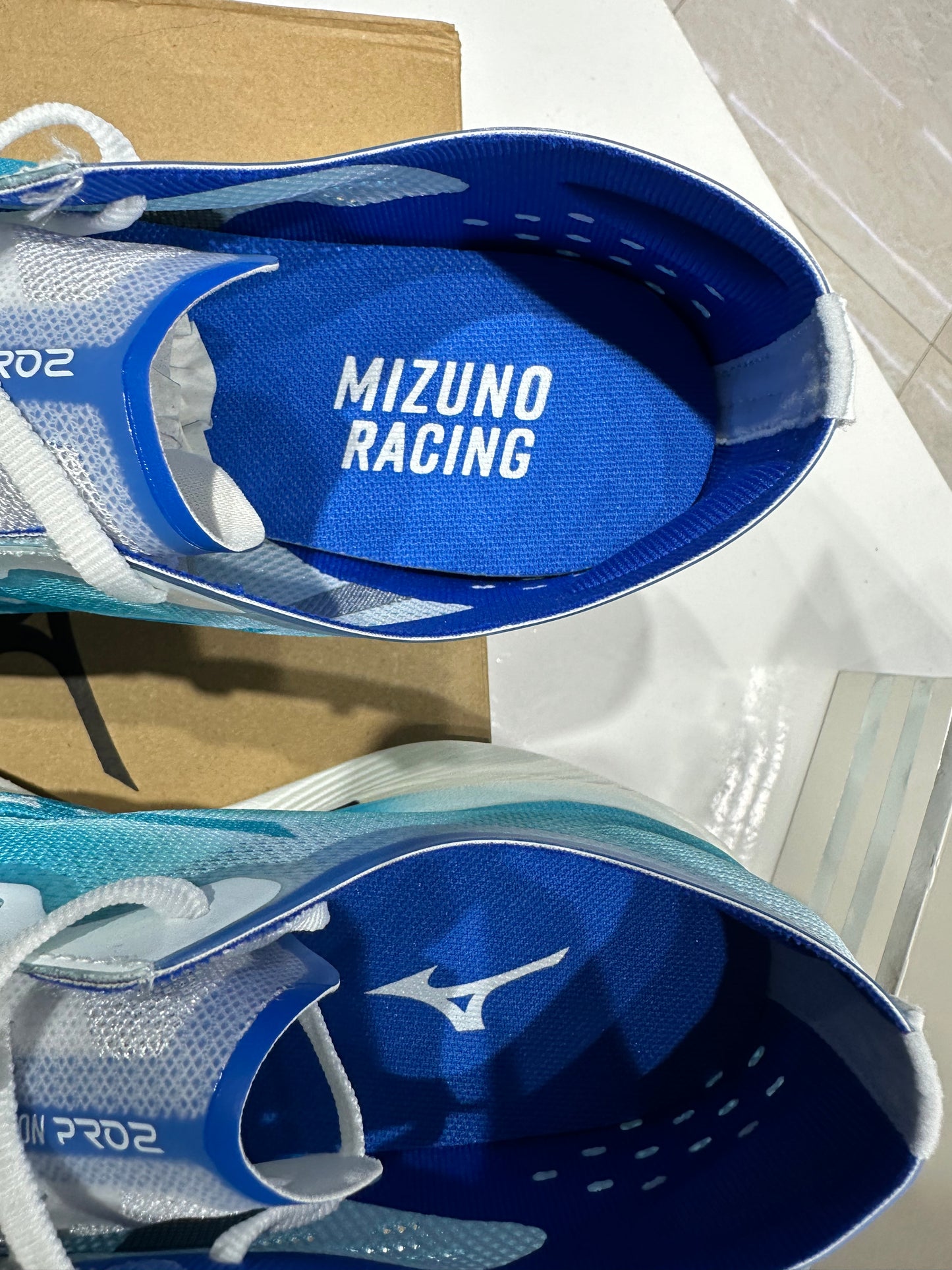 Mizuno Wave Rebellion Pro 2